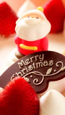 Santa Claus Live Wallpaper android App screenshot 5